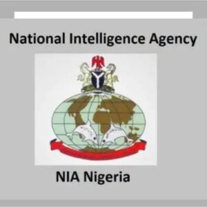 National Intelligence Agency of Nigeria